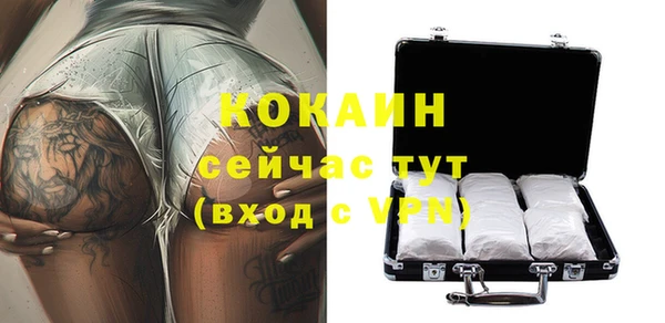 шишки Верхний Тагил