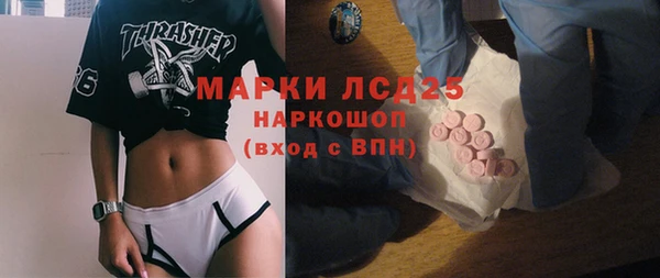 шишки Верхний Тагил