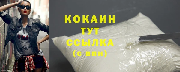 шишки Верхний Тагил