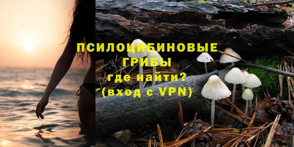 шишки Верхний Тагил
