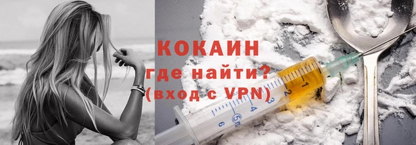 шишки Верхний Тагил